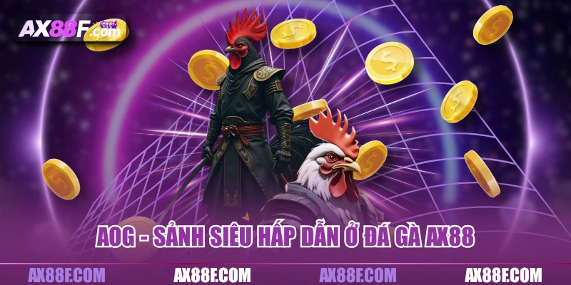 AOG – Sảnh siêu hấp dẫn ở đá gà AX88