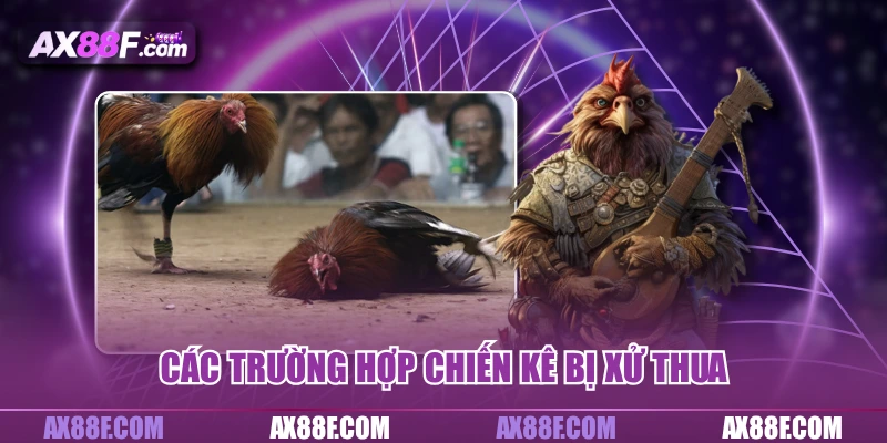 Các trường hợp chiến kê bị xử thua