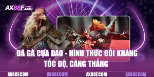 Đá gà cựa dao ax88