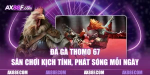 Đá gà thomo 67 ax88