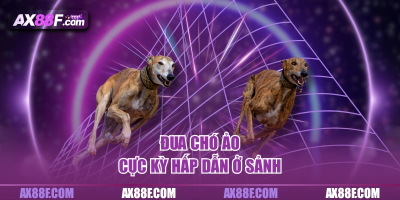 Đua chó ảo cực kỳ hấp dẫn ở sảnh