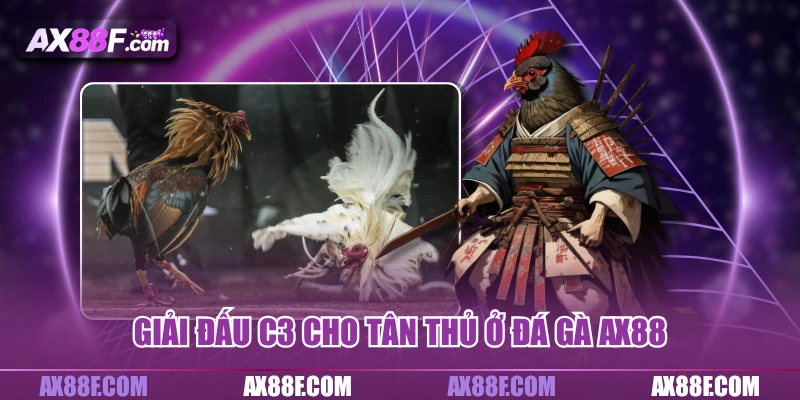 Giải đấu C3 cho tân thủ ở đá gà AX88