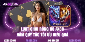 Luật chơi rồng hổ ax88