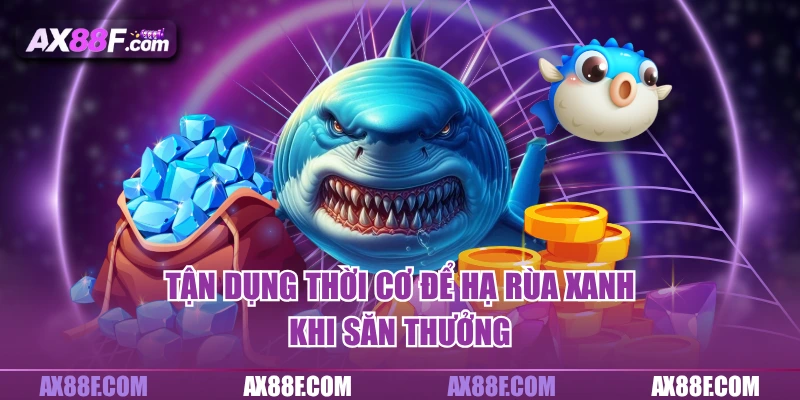 Tận dụng thời cơ để hạ rùa xanh khi săn thưởng