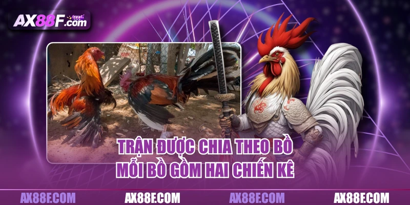 Trận được chia theo bồ, mỗi bồ gồm hai chiến kê